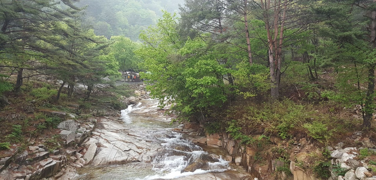 주변 계곡-8