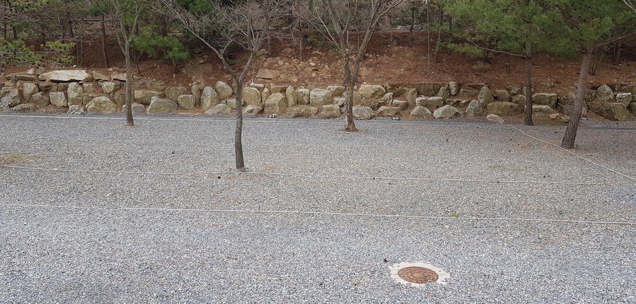 캠핑장A-12