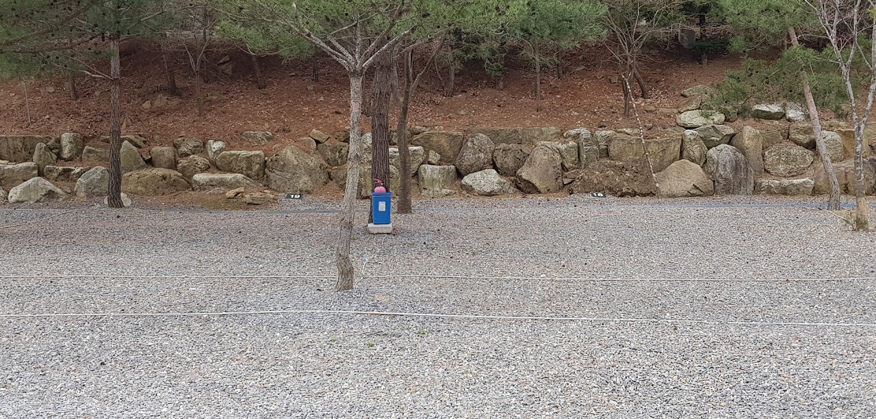 캠핑장A-11