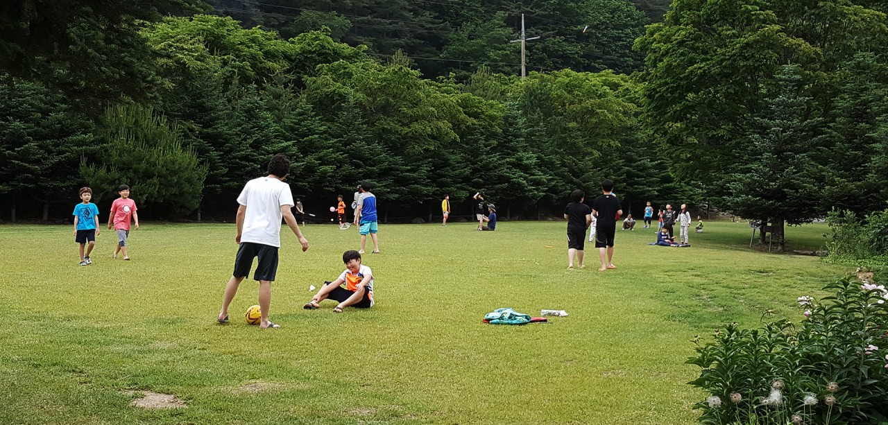 축구장 및 족구장-5