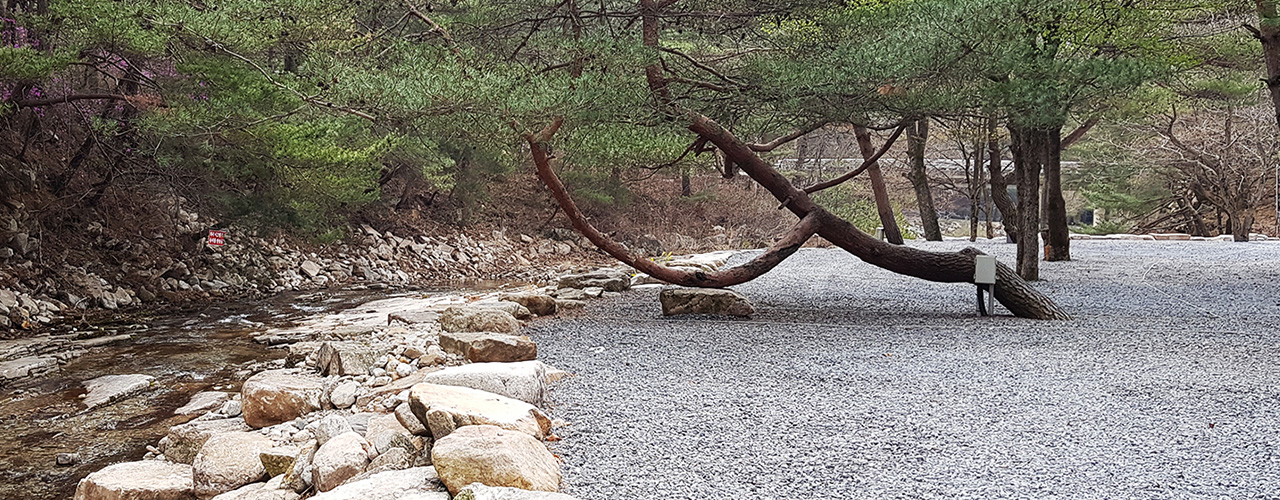 캠핑장B