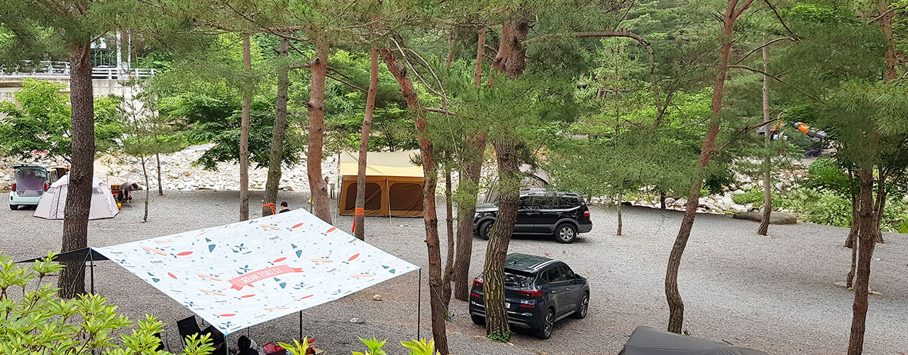 캠핑장C