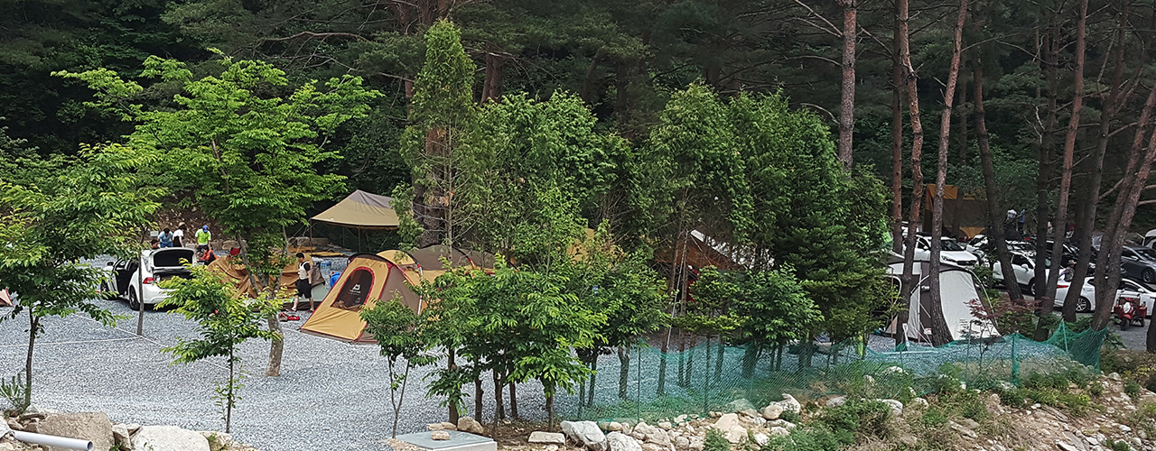 캠핑장K