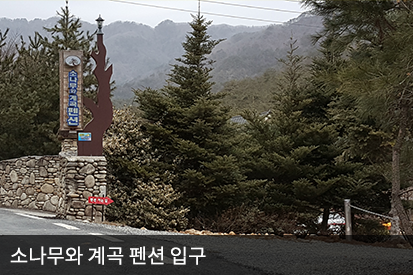 소나무와 계곡 펜션 입구